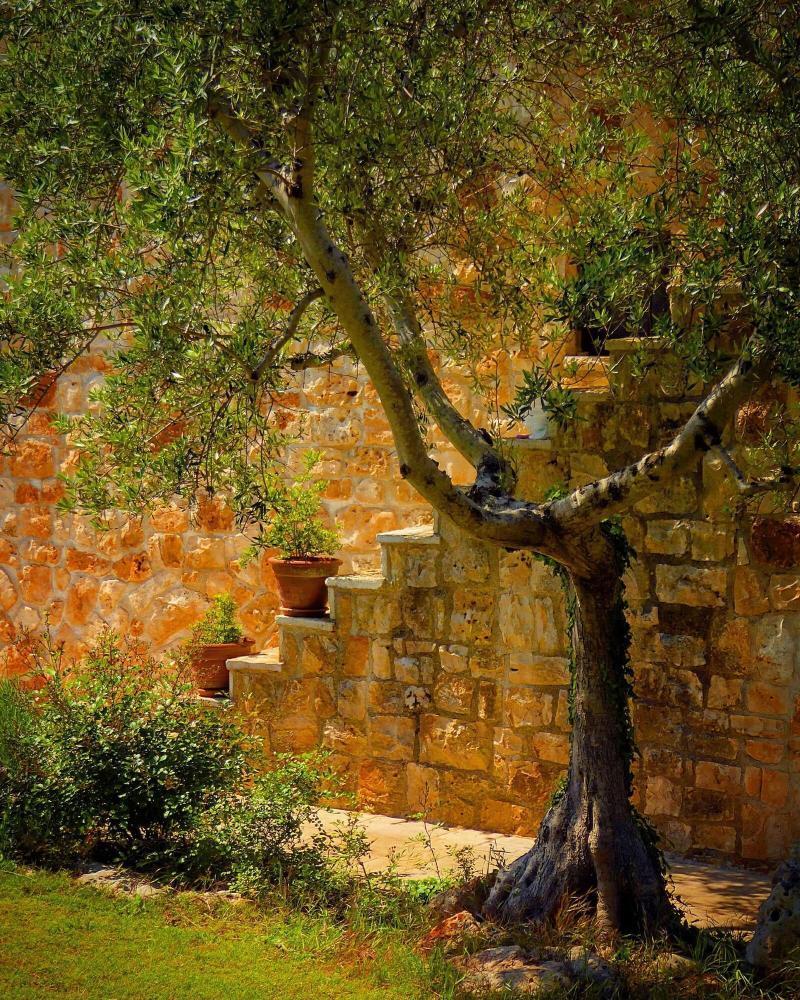 Fontana Vecchia B&B Castellana Grotte Exterior photo